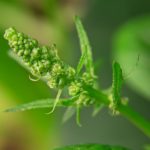 亚洲制服丝祙日韩欧美 097ww