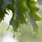 纶理电影在线看 0giqw