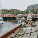 师姐还要吗 171rmjowa