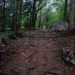 亚洲免费中文不卡高清有码 2g19tech