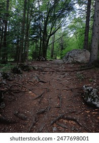 亚洲免费中文不卡高清有码
