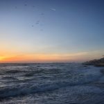 欧美顶级毛片免费观看 5op5sx8m1