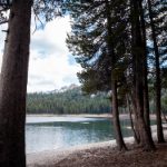 中文字幕av免费专区 9vmqfgk