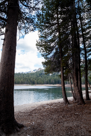 中文字幕av免费专区 中文字幕av免费专区