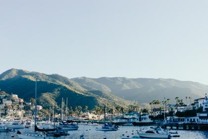 欧美观看一级A片免费全部完 欧美观看一级A片免费全部完