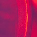 亚洲免费无码中文在线亚洲在 w8phyp45c6