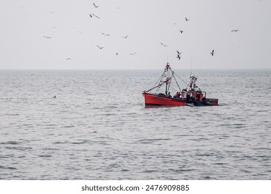 紫青小说在线阅读网