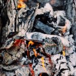 帝王计划第二部免费观看:揭开权力与阴谋的真相 13iivg5dim