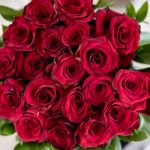 姐姐4电视剧免费观看:畅享精彩剧情与感人瞬间 14eh7k25lg