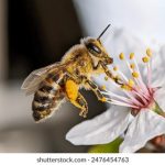 小明看看最新区域网址获取:探索最新资源,畅享网络世界的无限可能 6a6fpm