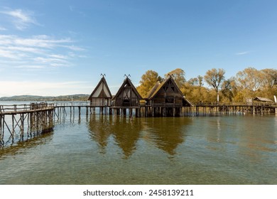 吾色綱通行证：探索多彩世界的无限可能与奇妙体验