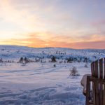 在青青草原广场舞中感受青春活力与快乐 h11v2jtbsa