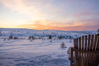 在青青草原广场舞中感受青春活力与快乐