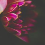 再接再励的正确性与实际意义探讨 ht7qb