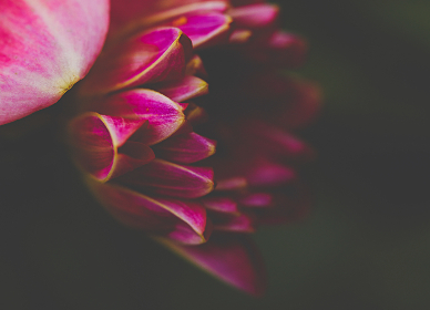 再接再励的正确性与实际意义探讨