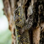 二次原色涩网站:探索色彩与艺术交融的奇妙世界 kg8rxjl