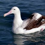 yo97111.com:探索全新在线娱乐平台,尽享无限乐趣与精彩活动 mw4laqtl