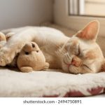 ync国外网站:探索全球优质资源与服务的最佳平台 oo3575