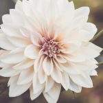 四虎影院1:探索最新热门影片,尽享视听盛宴! qny8w