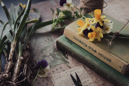 在线韩漫免费第一韩漫：畅享最新热门韩漫，尽在指尖阅读！