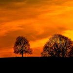 帝王计划怪兽遗产:超清在线观看全解析与精彩点评 u3pwebr7x