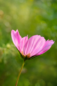 四虎影院 最新网址：畅享最新影视资源，尽在四虎影院！