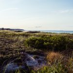 再接再厉为什么不是励:探讨“再接再厉”中的深层含义与用法 wgtjup7sz7