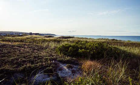 再接再厉为什么不是励：探讨“再接再厉”中的深层含义与用法