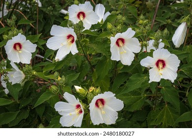 回家的路2048百度贴吧：探索归途中的温暖与感动