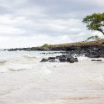 探索91tv节目:精彩内容与多样化选择的完美结合 0wc528q66