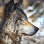 探索久久小说网站最新章节,畅享精彩阅读体验 14qh3l