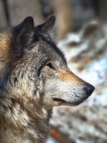 探索久久小说网站最新章节，畅享精彩阅读体验