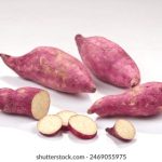 探索国外有趣的网站:发现全球奇妙在线资源 3ozyr