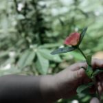 探索jin'man天堂下载:畅享无限精彩内容的最佳选择 48i26jo