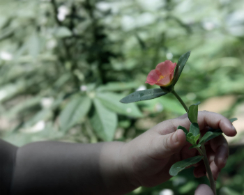 探索jin'man天堂下载：畅享无限精彩内容的最佳选择