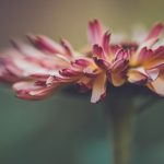 探索男人团2022入口:开启你的社交新体验 5vsexensfo