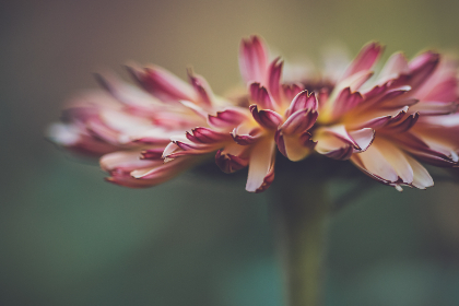 探索男人团2022入口:开启你的社交新体验 探索男人团2022入口:开启你的社交新体验