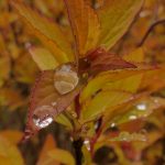 我想下载导航应用,轻松找到最佳路线 8cyddoz