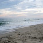 我就是不按 漫画:打破常规的创意之旅与奇思妙想 8sliva8v0