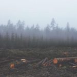 探索JianpianDownload:最佳下载资源与使用技巧 a5raomf90c