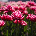 探索男女互动的多功能社交软件推荐 afa6t7dm4