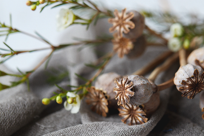 我娘子是九尾妖帝漫画 漫画:探索妖界的奇幻冒险与爱情故事 我娘子是九尾妖帝漫画 漫画:探索妖界的奇幻冒险与爱情故事