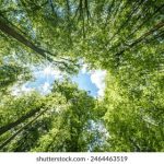 探索糖心Vlog官网首页:精彩内容与创意分享 k67yx