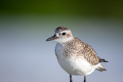 探索GitHub中文社区的最佳资源与交流平台