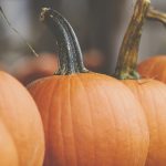 探索t66yt:数字时代的新兴趋势与影响 n51sxwhf