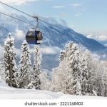 探索MX动漫网站官网:最新动漫资讯与精彩内容 q2279v