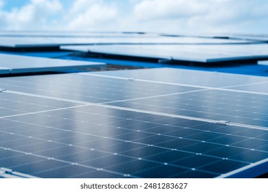 探寻日本历史上公认的最美人物及其传奇故事