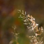 探索男人团山手:友谊与冒险的完美结合 weiea