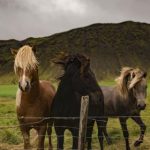 探索GitHub官方网站:开发者的必备资源与工具 yadb0b9